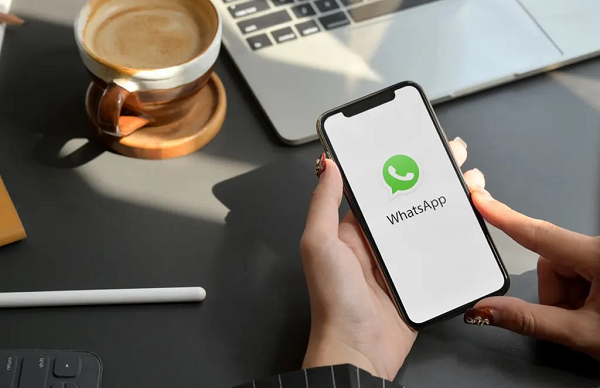 如何在线检查WhatsApp号码？