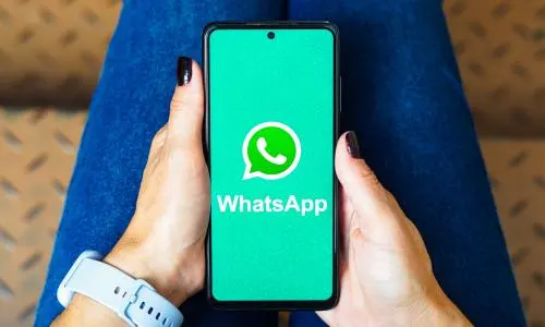 如何批量检查 WhatsApp 号码是否有效或活跃？