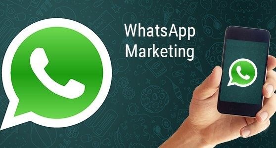 WhatsApp筛号软件针对性营销