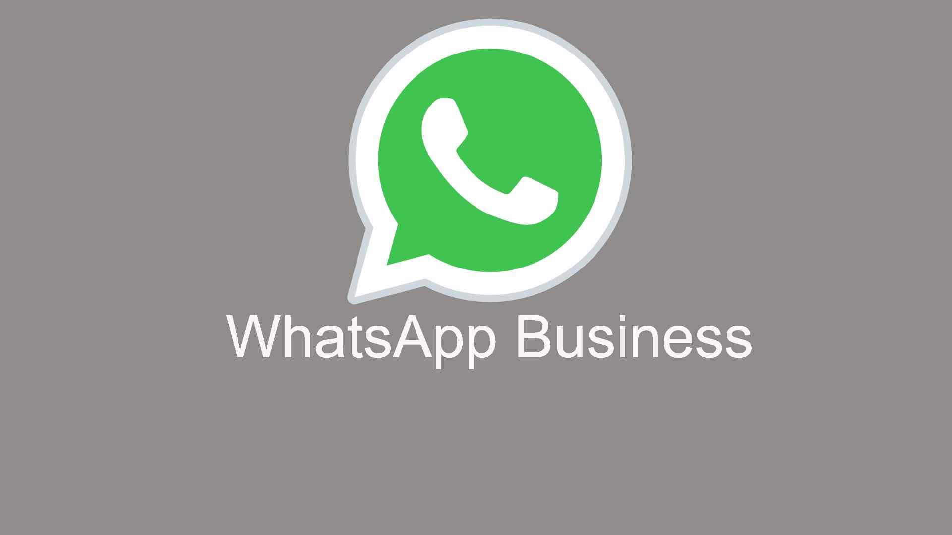 WhatsApp Business API具体场景