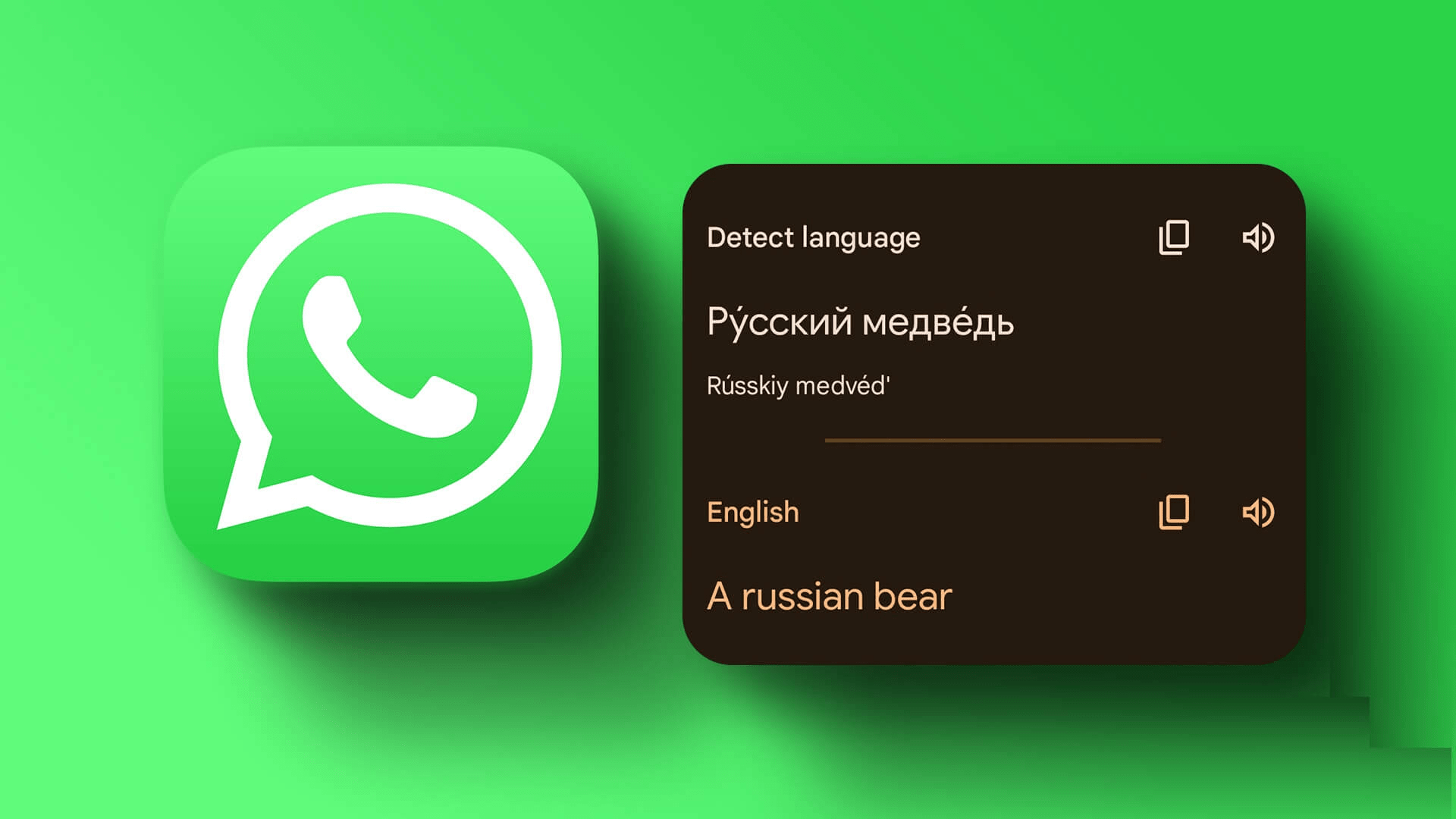 WhatsApp寻客软件